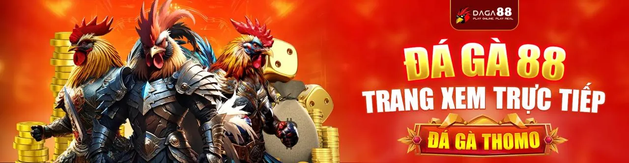 Hỗ trợ khách hàng 24/7 ava8888