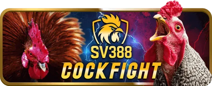 Hoàn trả cược thể thao Ava8888